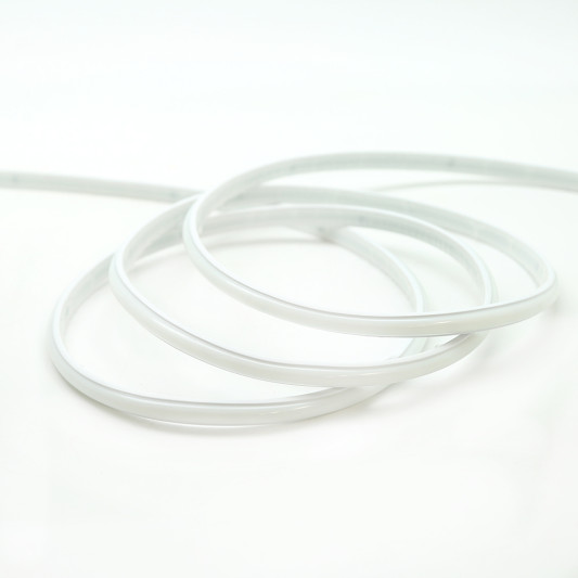 LS06-00305 LS06-00305